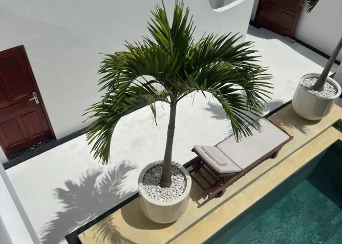 Stay's Standard #1 * Uluwatu